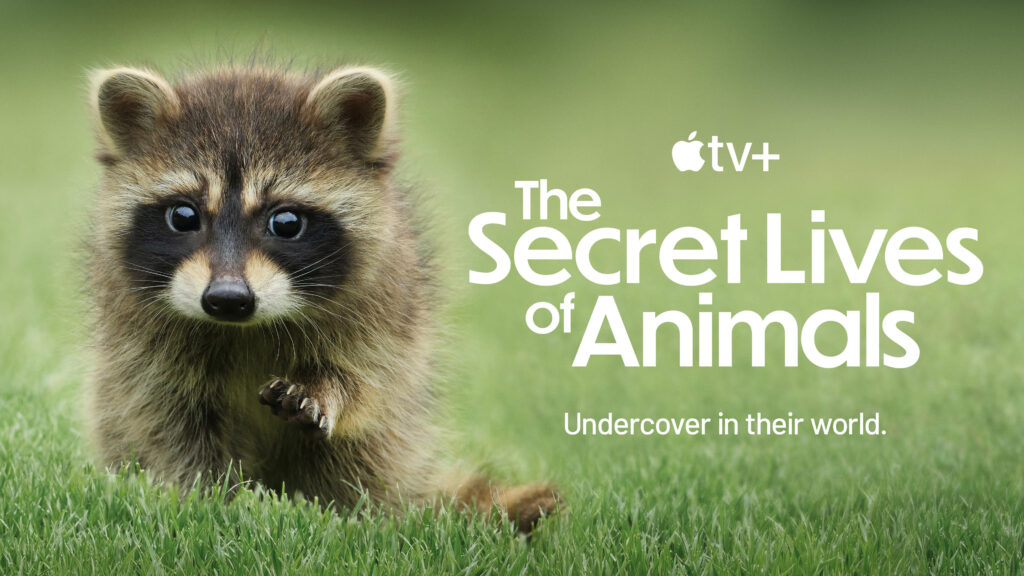 “The Secret Lives of Animals” premieres globally December 18, 2024 on Apple TV+